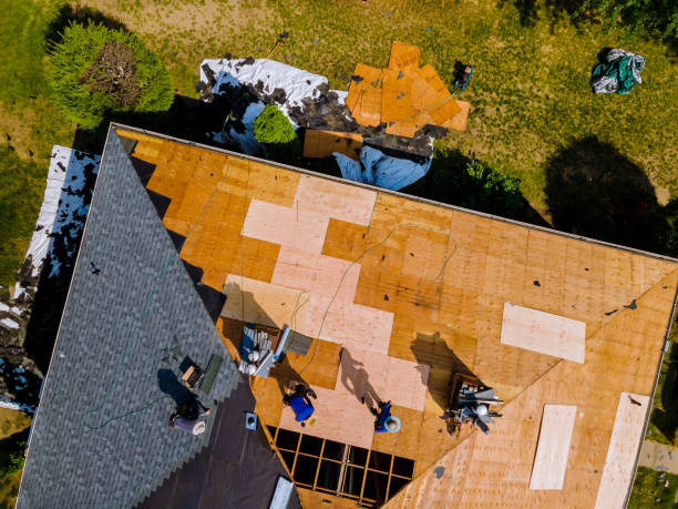Best Residential Roofing Contractor  in Harbor Beach, MI