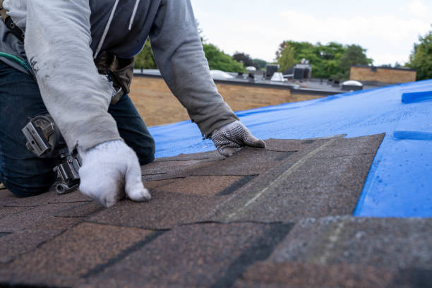 Best Best Roofing Contractors  in Harbor Beach, MI
