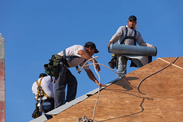 Best Roof Gutter Cleaning  in Harbor Beach, MI