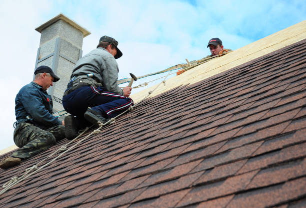 Best Roof Maintenance Services  in Harbor Beach, MI